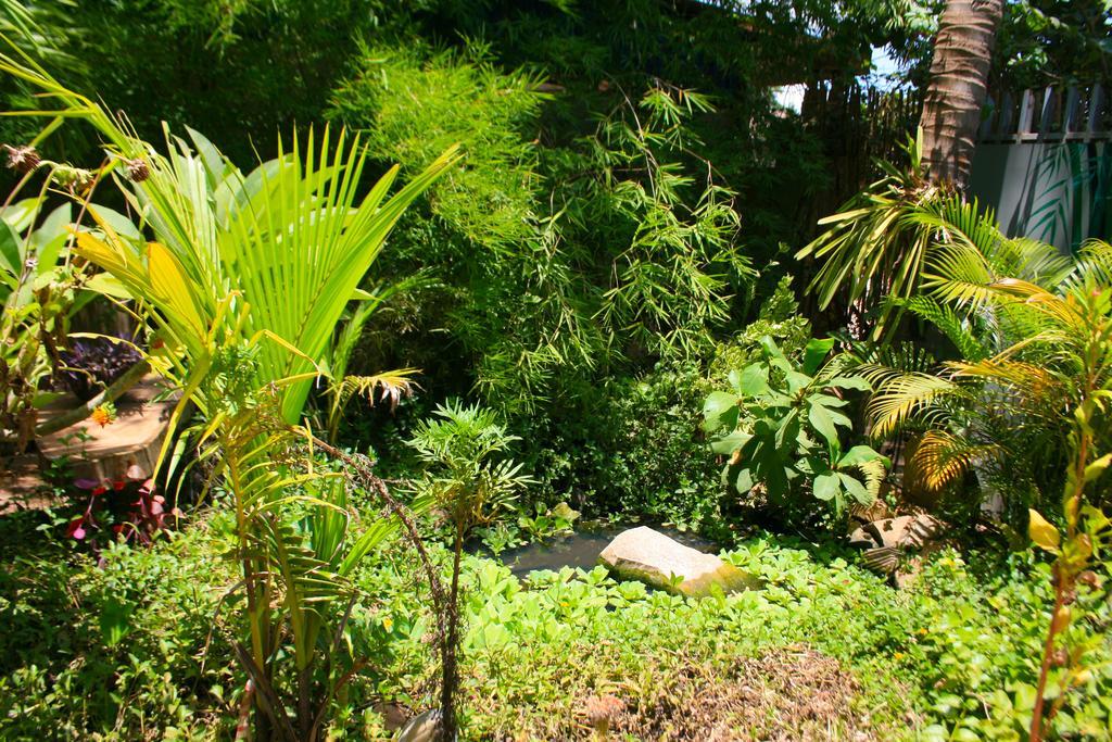 Firefly Guesthouse - The Berlin Angkor Siem Reap Eksteriør bilde