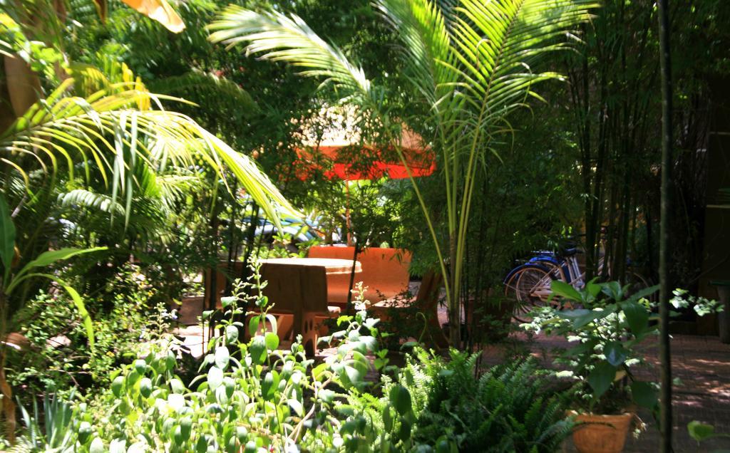 Firefly Guesthouse - The Berlin Angkor Siem Reap Eksteriør bilde