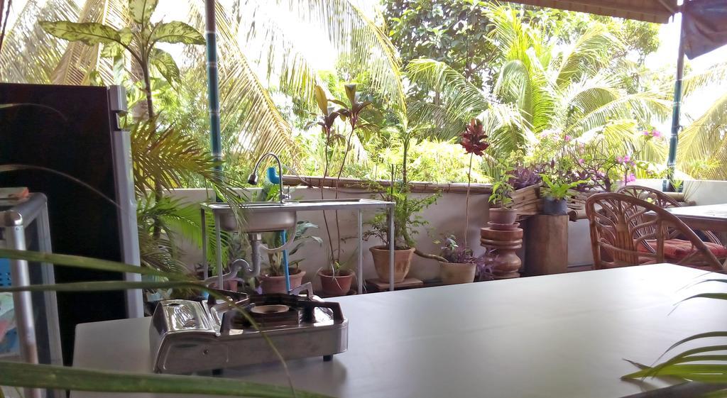 Firefly Guesthouse - The Berlin Angkor Siem Reap Eksteriør bilde