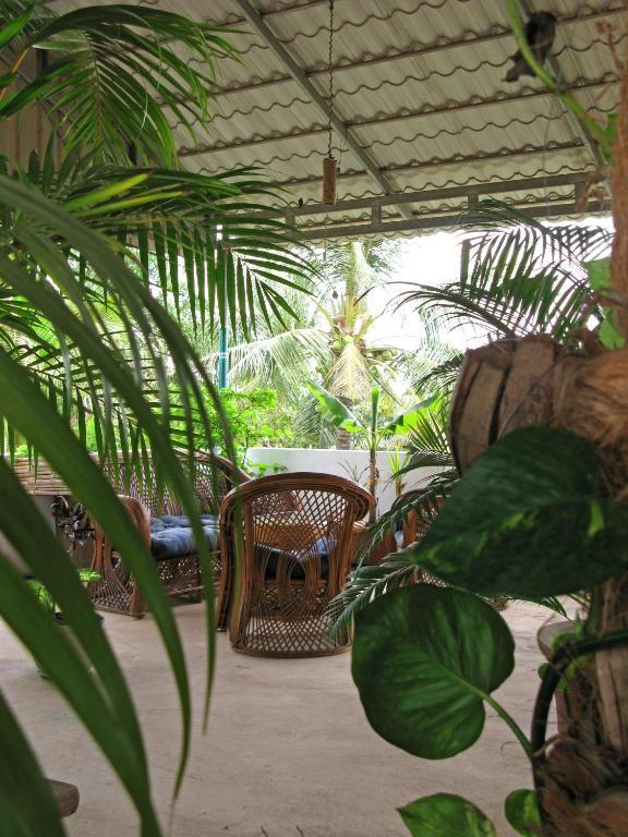 Firefly Guesthouse - The Berlin Angkor Siem Reap Eksteriør bilde
